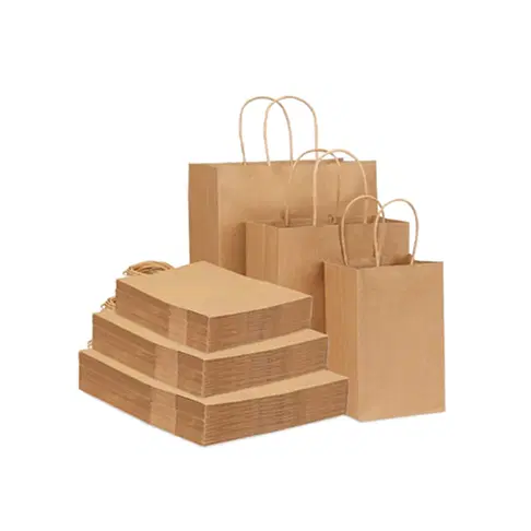 Kraft Paper Gift Bags