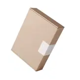 DTC Fashion Businesses