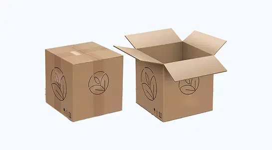 Custom Subscription Shipping Box