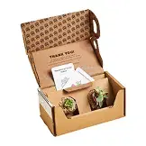 E-Commerce & Consumer Direct Subscription