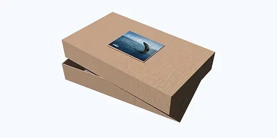Light brown corrugated box with whale image
