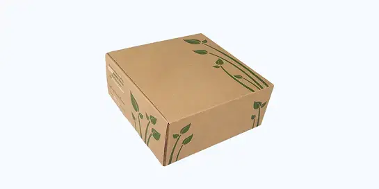 Eco-friendly box with green leaf pattern design