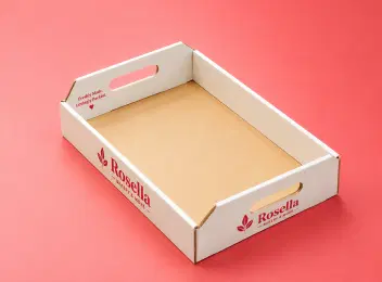 Cardboard Tray Boxes