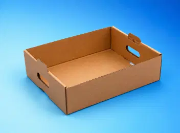 Kraft Tray Boxes